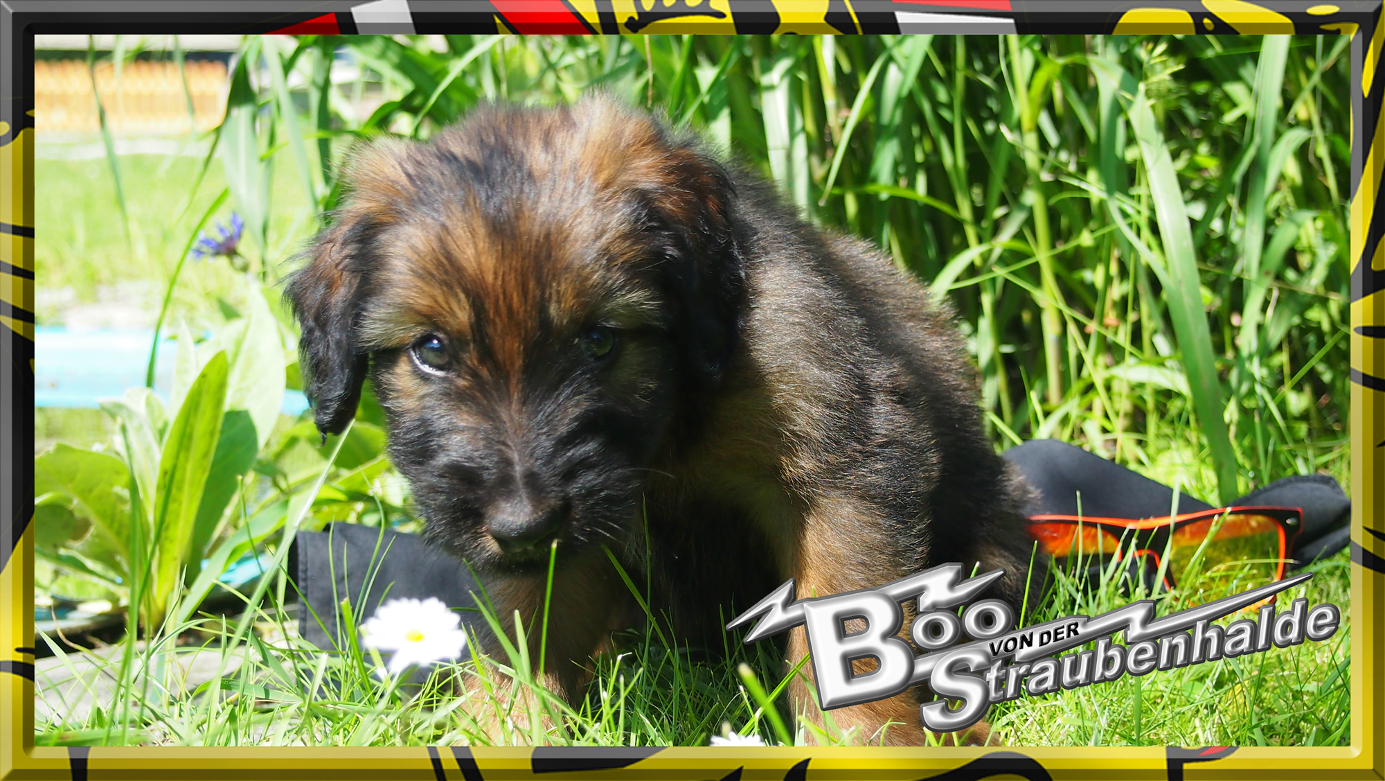 W&auml;ller von der Straubenhalde